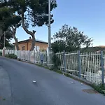 Dei Pini