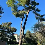 Dei Pini Marina dʼAndora