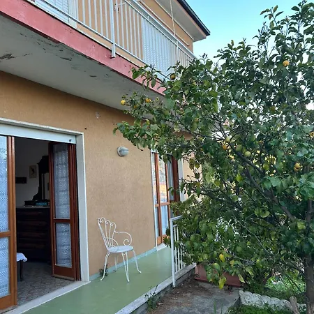 Dei Pini
