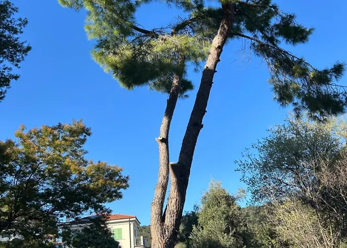 Dei Pini Marina dʼAndora