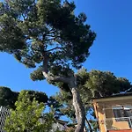 Dei Pini