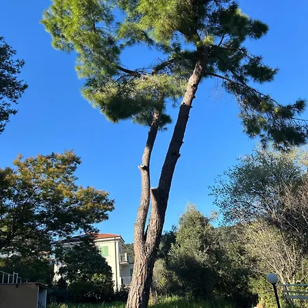 Dei Pini Marina dʼAndora